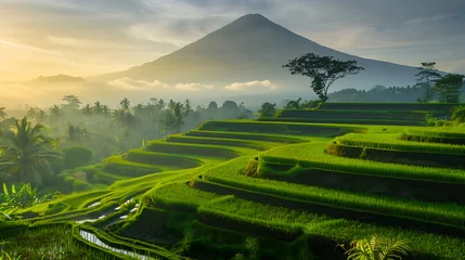 Fototapeten Terracing rice field in Indonesia with volcano mountain in background © Altair Studio