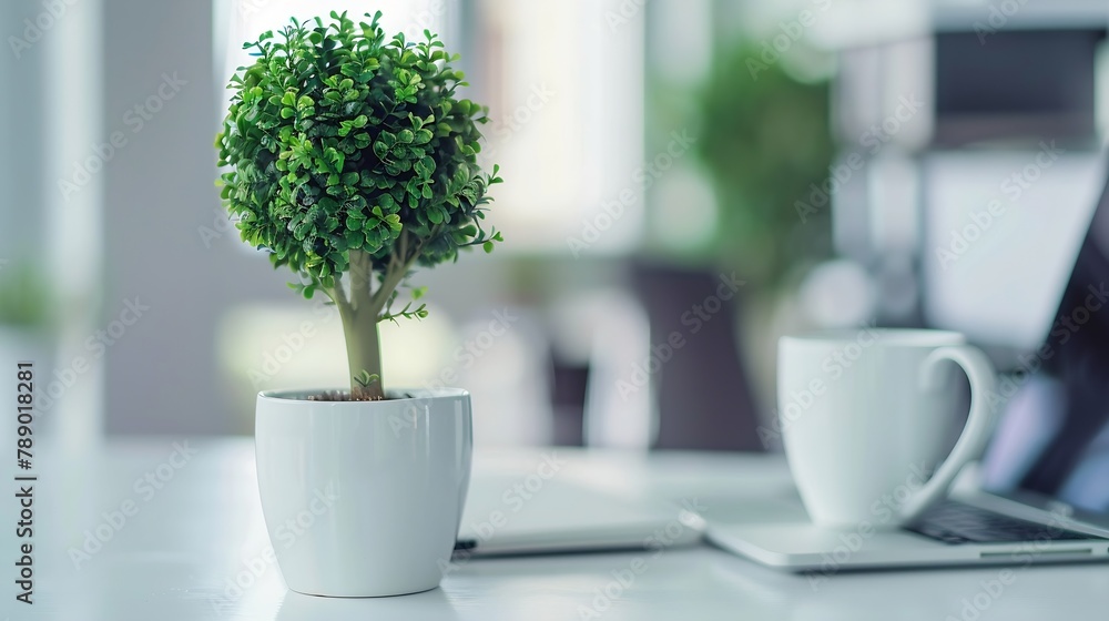 Leinwandbilder close up view of simple workspace with laptop notebooks coffee cup and tree pot on white table with 