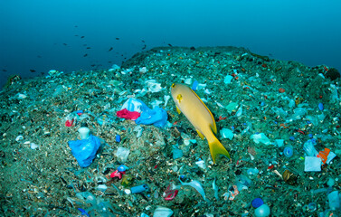 Plastikmüll auf dem Meeresgrund - 789019693