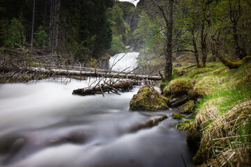 Wilder Wasserfall am Fluss im vom Moos überwucherten Wald