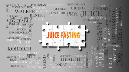 Juice Fasting as a complex subject, related to important topics. Pictured as a puzzle and a word cloud made of most important ideas and phrases related to juice fasting. ,3d illustration