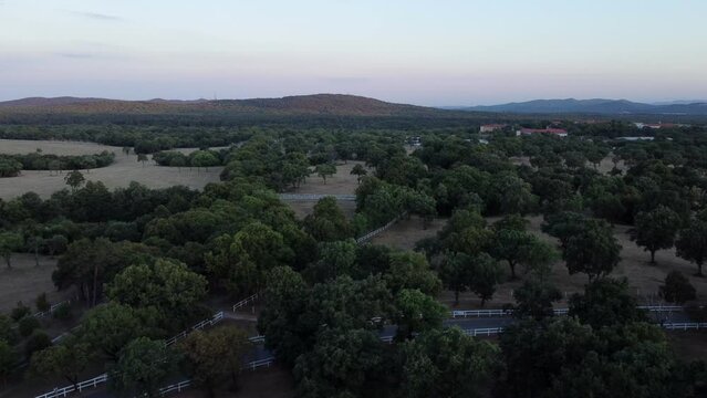 Drone panning left to right over the tranquil Lipica Stud Farm, capturing Slovenia's countryside
