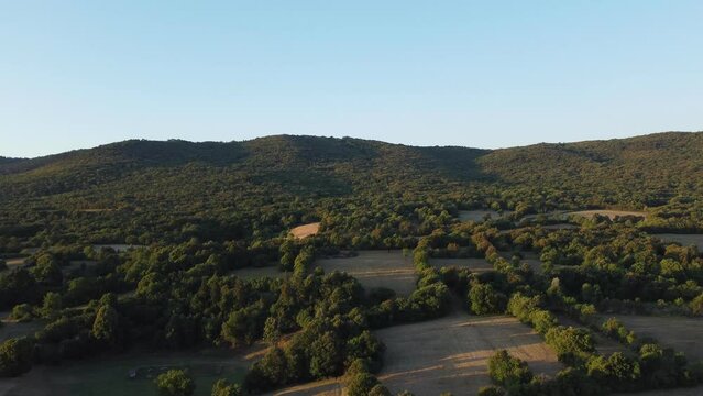 Drone ascends capturing the serene, patchwork fields near Lipica, Slovenia.