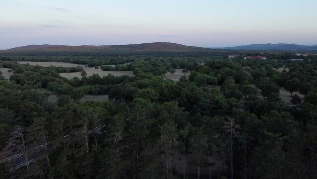 Straight flight drone view over the green fields of Lipica Stud Farm in Slovenia