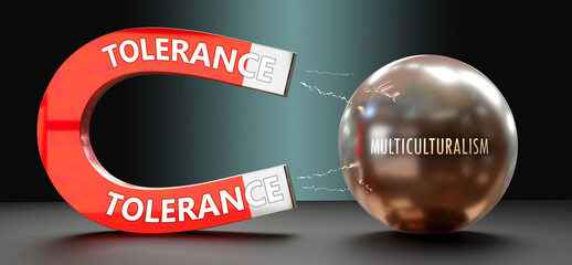 Tolerance attracts Multiculturalism. A metaphor showing tolerance as a big magnet attracting multiculturalism. Analogy to demonstrate the importance and strength of tolerance. ,3d illustration