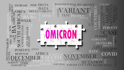 Omicron as a complex subject, related to important topics. Pictured as a puzzle and a word cloud made of most important ideas and phrases related to omicron. ,3d illustration - obrazy, fototapety, plakaty