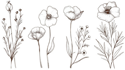 Set of Four gorgeous floristic flowers and wild flowe - obrazy, fototapety, plakaty