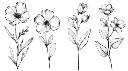 Set of Four gorgeous floristic flowers and wild flowe - obrazy, fototapety, plakaty