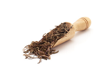 Front view of a wooden scoop filled with dry Organic Spearmint or Pudina (Mentha Spicata) stem and...