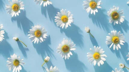 Daisy pattern Flat lay spring and summer chamomile flowers on a blue background Repetition concept Top view : Generative AI