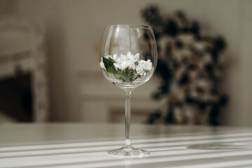 Beautiful white flowers in a glass goblet on a white background