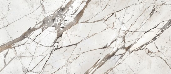 Marbled with elegant silver veins, the white natural marble texture showcases the intricate details of its natural composition.