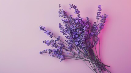 Bouquet of purple lavender arranged on pink table Top view flat lay mock up copy space Minimal...