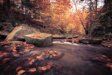 perfect autumn landscape, unbelievable morning in the forest, fast stream between beech trees and...