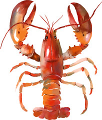 Watercolor lobster. Fresh organic food. Watercolor digital illustration, png with transparent background