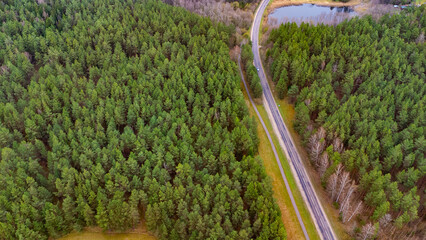 aerial view of a road with forest and a car.