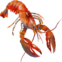 Watercolor lobster. Fresh organic food. Watercolor digital illustration, png with transparent background