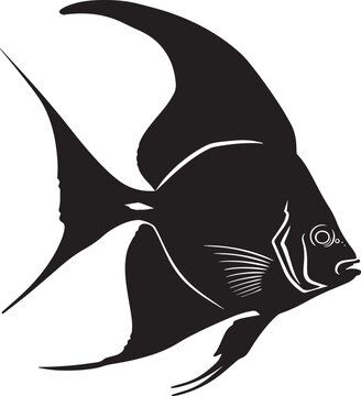recommend clip art: Batfish silhouette vector black on white background