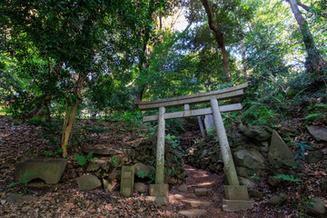 Fototapeta na wymiar The quaint torii gate and pond of Jiro Inari Shrine.At Koishikawa botanical garden, Bunkyo-ku, Tokyo, Japan, photo by April, 2024. 