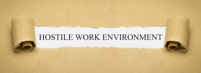 Hostile Work Environment