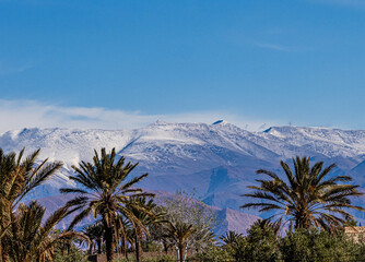 High Atlas Mountains seen from Skoura