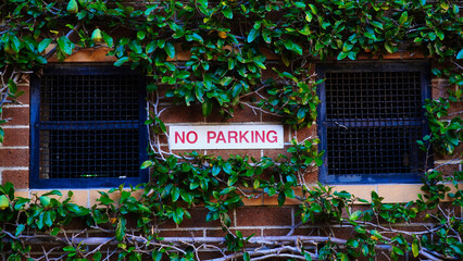 No parking or stop sign on a beautiful green wall.