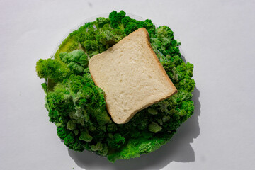 Toast bread on green leaf and moss.