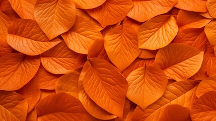 A stunning flat lay of leaves in a fiery orange hue, meticulously organized on a white background to form a radiant, eye-catching pattern, ideal for vivid and artistic presentations