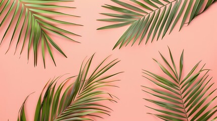 Dry tropical exotic palm leaves on pale pastel peachy background Flat lay top view minimalist...
