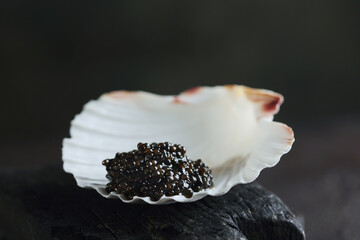 Black caviar. Caviar is served in a shell. An exquisite snack. Natural omega.