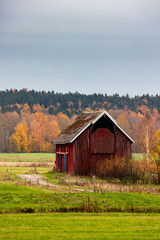 Obraz premium old red barn in autumn