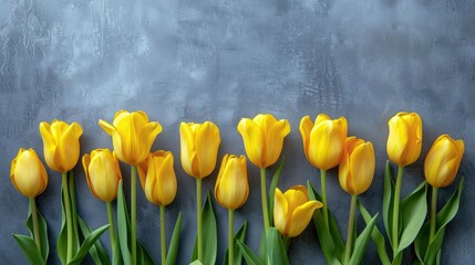 A beautiful backdrop of vibrant yellow tulips sets the stage for a Mother s Day greeting card adorned with ample space for your heartfelt message Perfectly styled in a flat lay with a top v