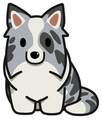 おすわりする立ち耳のボーダーコリー(ブルーマール)