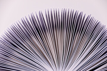 a book with folded pages presents itself as an analogue memory store as a lifestyle object