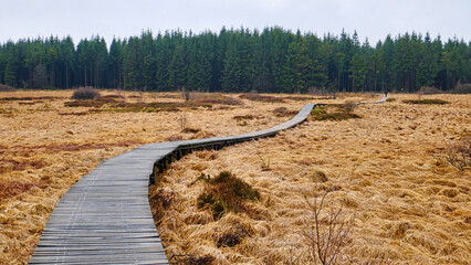 Wanderer auf einem Holzsteg durch den Naturpark Hohes Venn