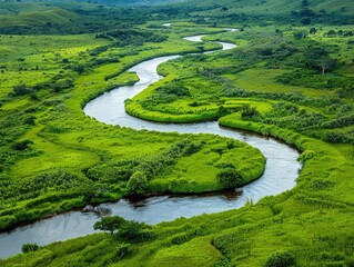 Valley's Serenade: Nature's Harmony in Winding Waters