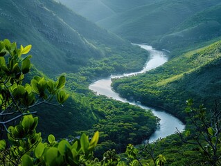 Fototapeta na wymiar Winding River: Nature's Artistry Carved in Valleys
