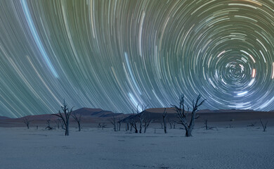 Long exposure photo of night sky star trail over the Dead trees in Dead Vlei at night - Sossusvlei,...