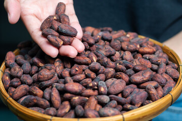 Woman's hands sorting cocoa beans in a wooden basket