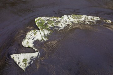 Abstract rock and algae formations at the Three Sisters, Tongaporutu, Taranaki, New Zealand.