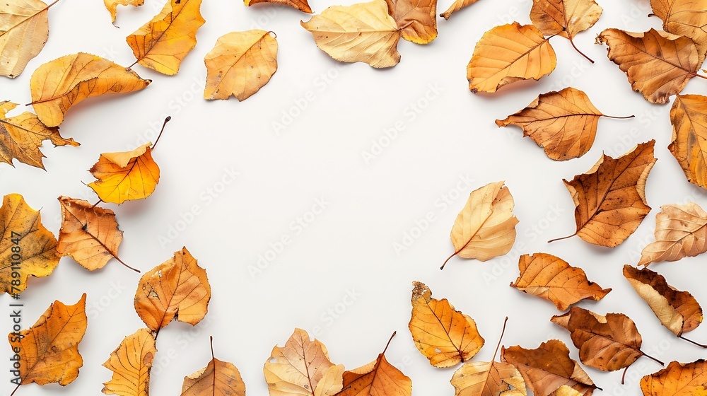 Poster Autumn composition Frame made of autumn dried leaves on white background Flat lay top view copy space : Generative AI