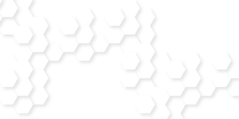 Background with hexagons . Abstract background with lines . white texture background . hexagon abstract background. Surface polygon pattern with glowing hexagon paper texture and futuristic business.