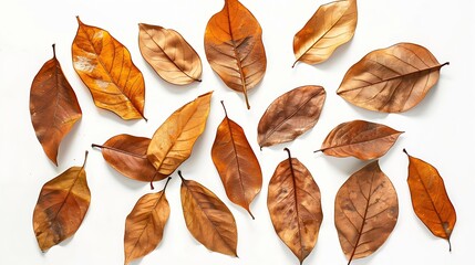 Autumn creative composition Dried  leaves on white background Fall concept Autumn background Flat lay top view copy space : Generative AI