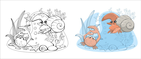 Crab crab algae vector set of illustrations