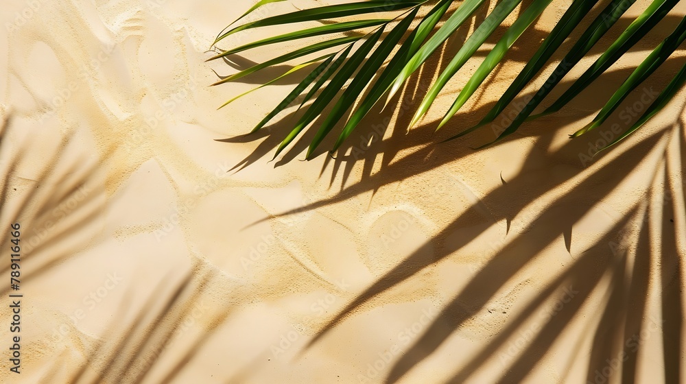 Aufkleber top view of green tropical leaf shadow on sand color background flat lay minimal summer concept with