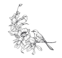 Beautiful hand drawn vector composition with black and white blooming spring garden flowers, birds