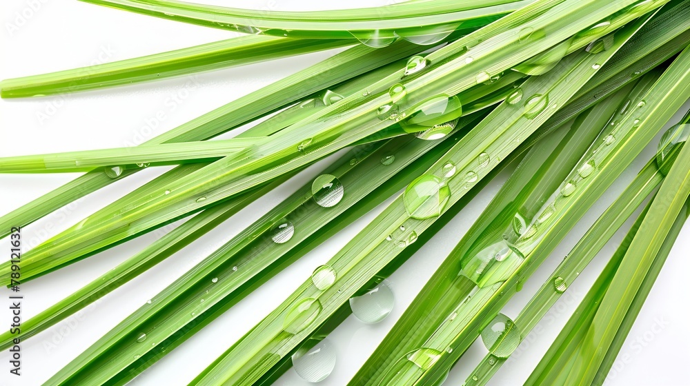 Poster fresh lemongrass leaf has water drop top view isolated on white background flat lay : generative ai