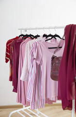 women's clothing in pink and burgundy trendy colors on a hanger - 789121699