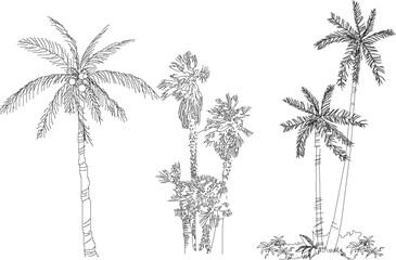 vector image of a collection of palm trees and coconut shrubs on an island