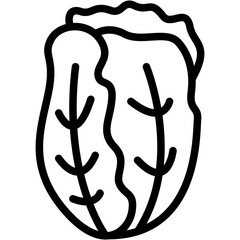 Chinese Cabbage Line Icon
